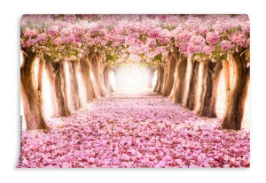 fototapeta spadajacy platek nad romantycznym tunelem r